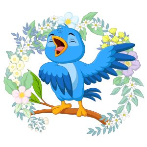 vbird