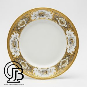 بشقاب هوش مصنوعی Ai