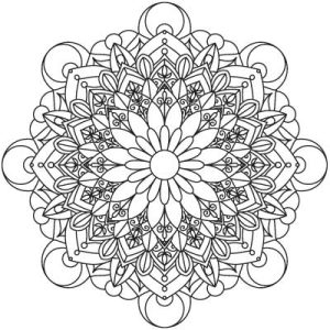 وکتور مدرن سری q