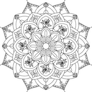 وکتور مدرن سری d