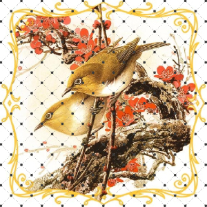 عکس ترام گنجشک