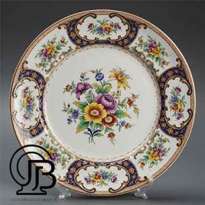 بشقاب هوش مصنوعی