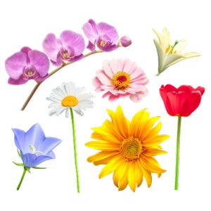 وکتور گل و بوته