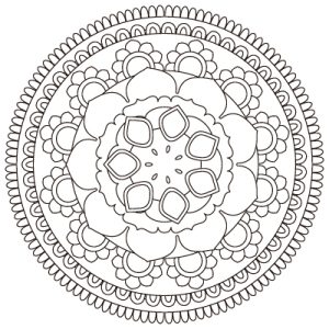 وکتور جدید5